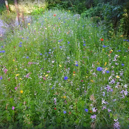 Tatil Evi Haus Hanni Zarrentin am Schaalsee