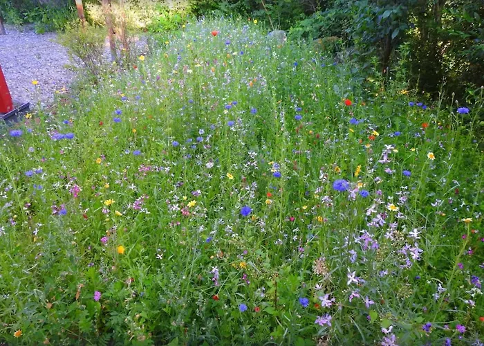 度假居 Haus Hanni Zarrentin am Schaalsee